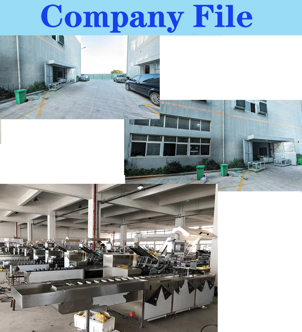 Fully Automatic Horizontal Mask Carton Box Packing/Packaging Machine/Packaging Machinery/Cartoning Machine