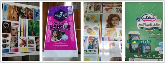 Μηχανή εκτύπωσης Flexo υψηλής ταχύτητας έξι χρωμάτων