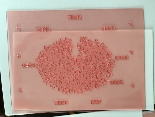 Πιάτο εκτύπωσης Flexo υψηλής ταχύτητας Photopolymer 1.7mm νάυλον ρητίνη